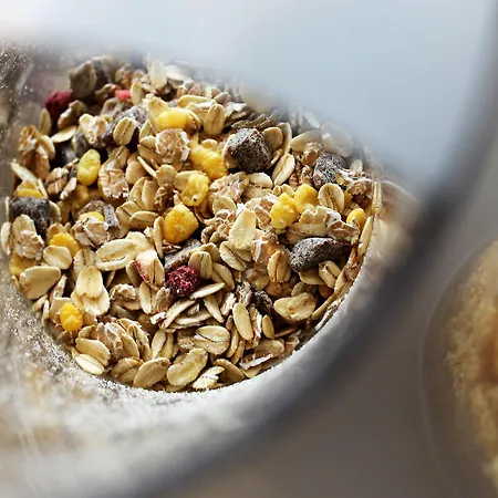 Μοτέλ Frankfurt